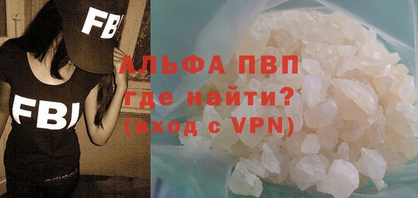 стафф Новокубанск