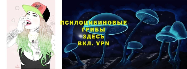 spice Новодвинск