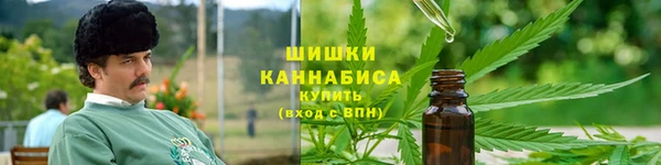 мдма Новозыбков