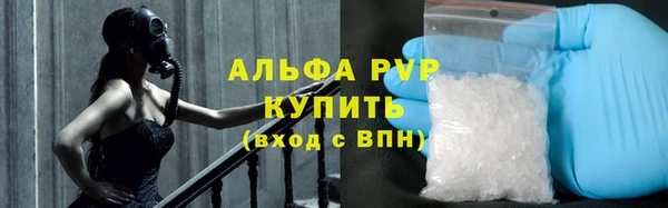 стафф Новокубанск