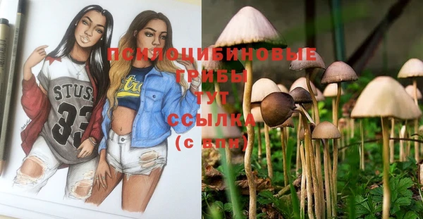spice Новодвинск