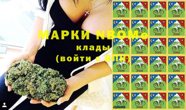 стафф Новокубанск