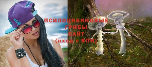 мдма Новозыбков