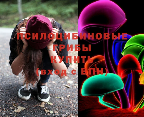 spice Новодвинск