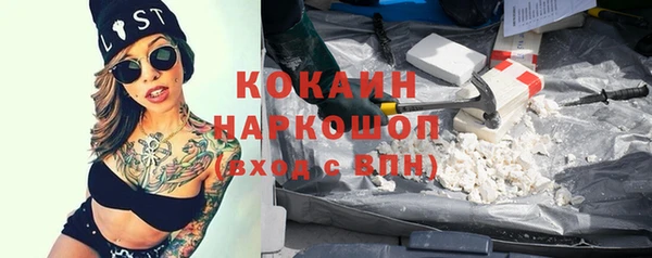 spice Новодвинск