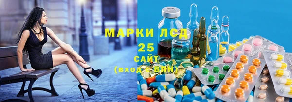 стафф Новокубанск