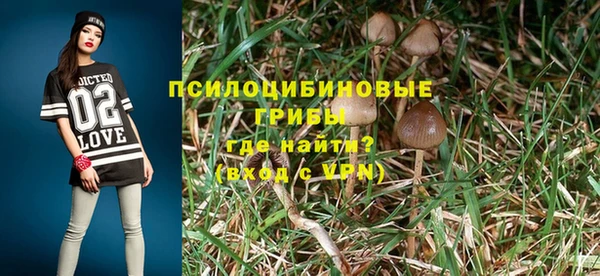 стафф Новокубанск